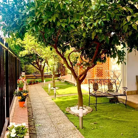 Dimora Leone B&B 디아망테